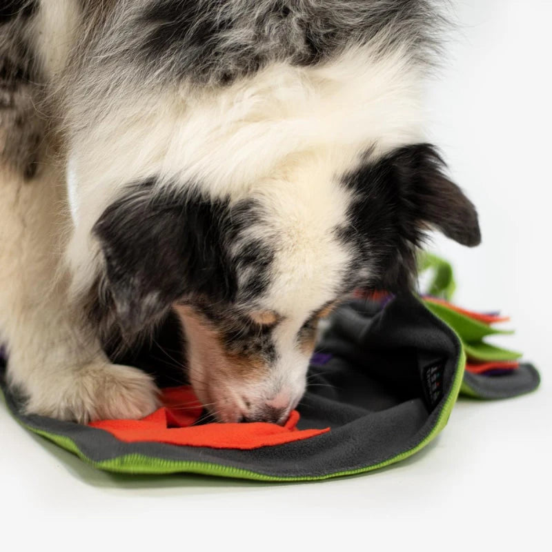 KNAUDER´S BEST - Sniffpad Happy Hundespielzeug Knauders Best 