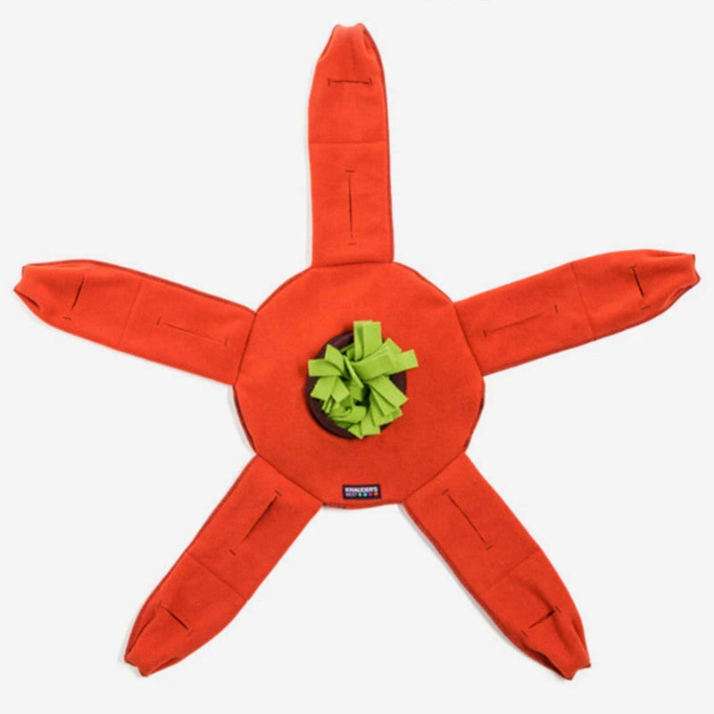 KNAUDER´S BEST | Sniffstar Hundespielzeug Knauders Best 