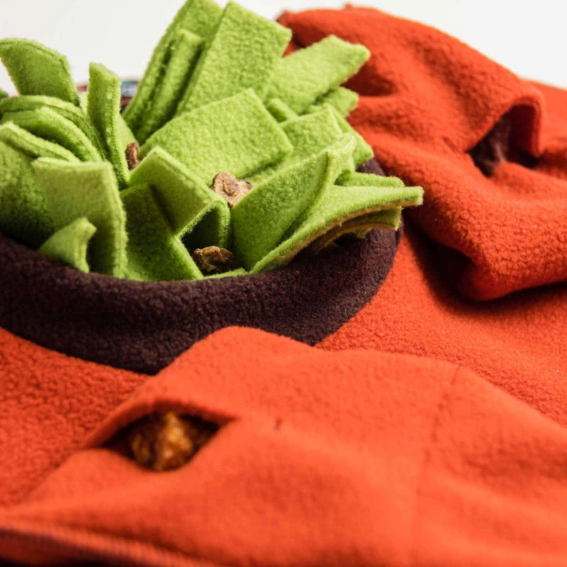 KNAUDER´S BEST | Sniffstar Hundespielzeug Knauders Best 