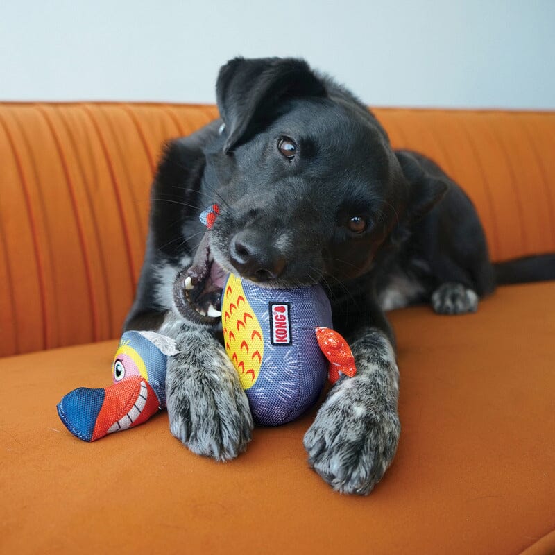 KONG | Ballistic Vibez Bird Hundespielzeug KONG 