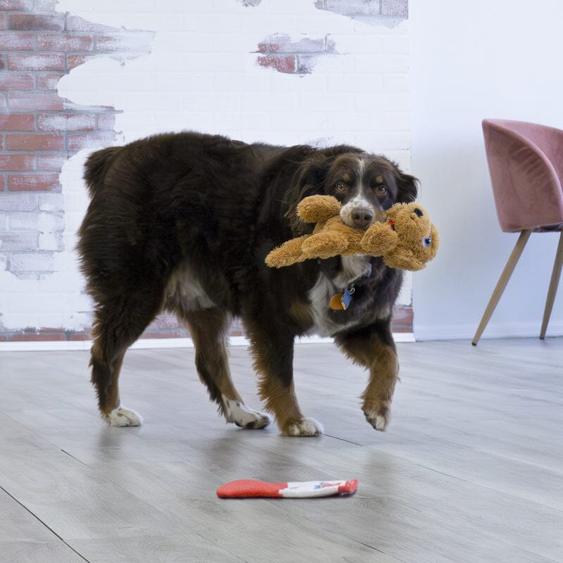 KONG | Comfort Pups Hundespielzeug KONG 