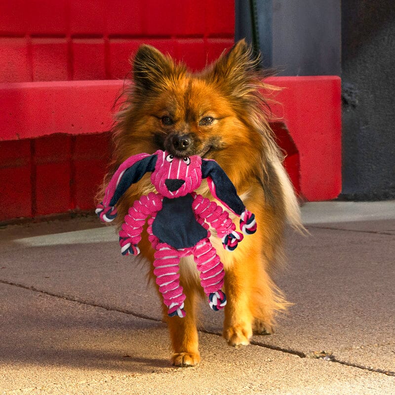 KONG | Floppy Knots Hundespielzeug KONG 