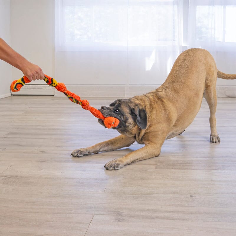 KONG | Knots Snake Hundespielzeug KONG 