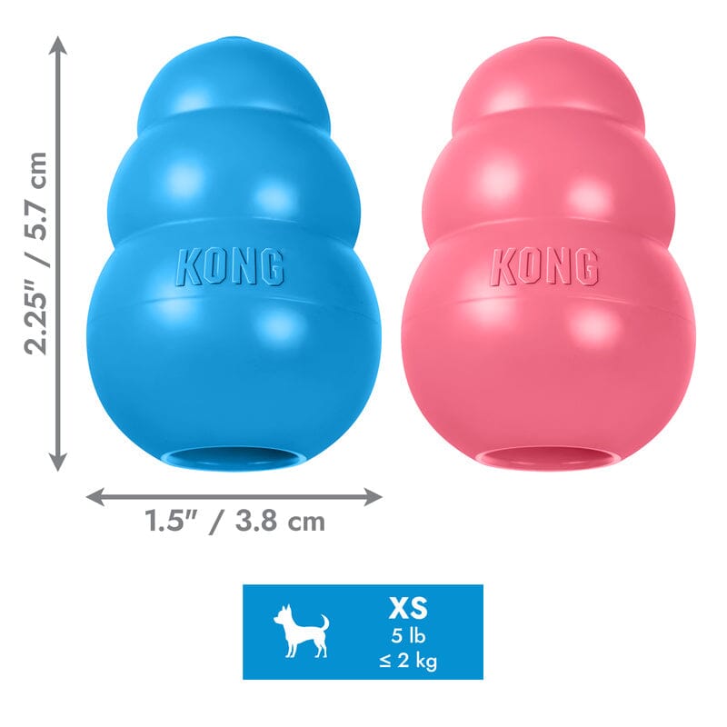 KONG | Puppy Hundespielzeug KONG XS (5.7cm) 