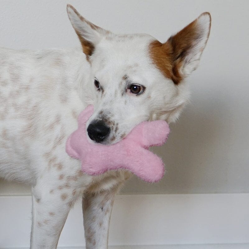 KONG | Snuzzles Kiddos Sm Hundespielzeug KONG 