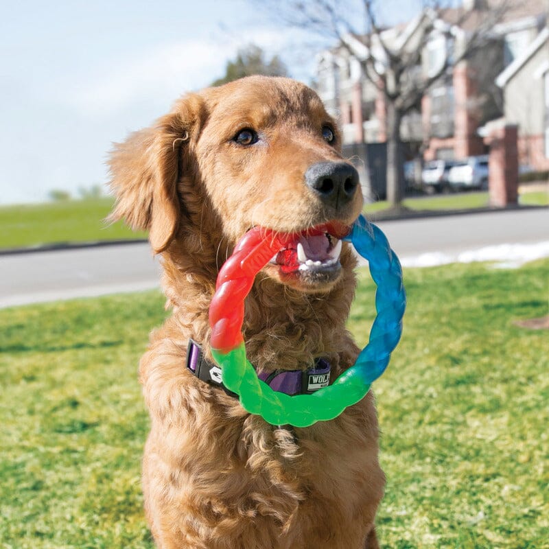 KONG | Twistz Ring Hundespielzeug KONG 