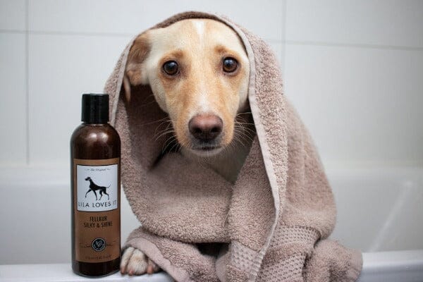 LILA LOVES IT | Fellkur Silky & Shine Pflegeprodukte Lila loves it 