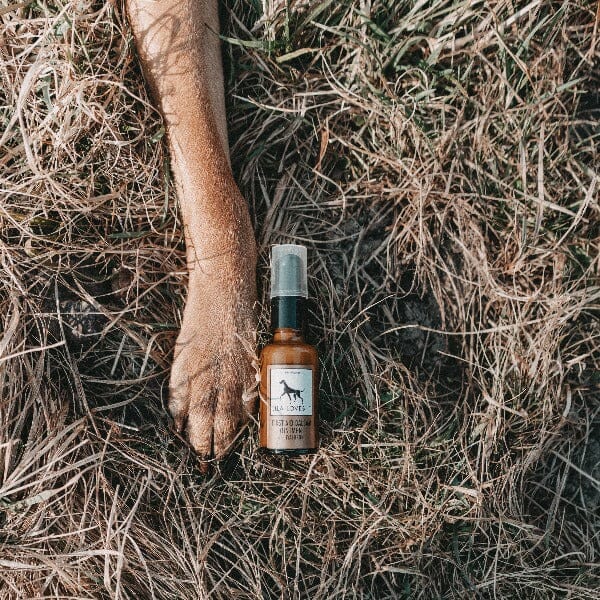 LILA LOVES IT | First Aid Balsam Pflegeprodukte Lila loves it 