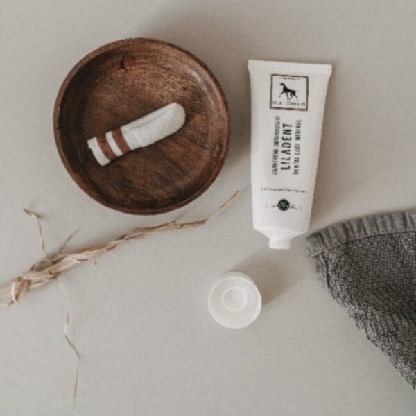 LILA LOVES IT | Liladent Zahncreme Pflegeprodukte Lila loves it 