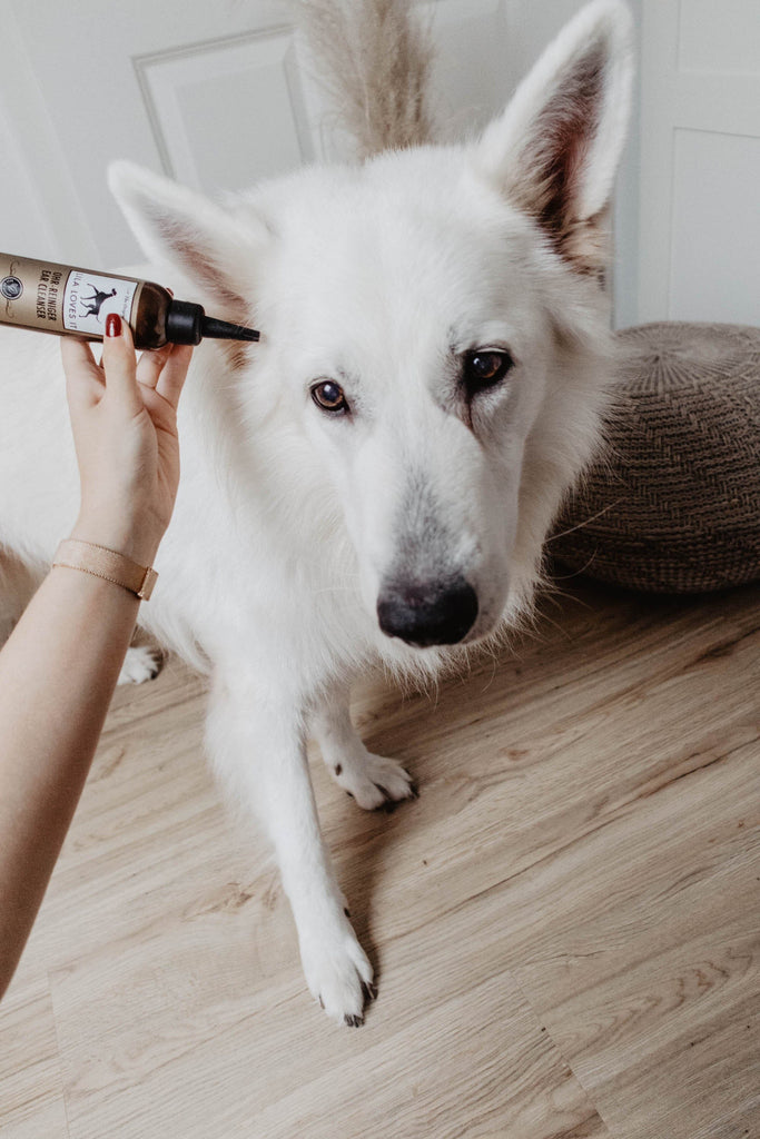 LILA LOVES IT | Ohr-Reiniger Pflegeprodukte Lila loves it 