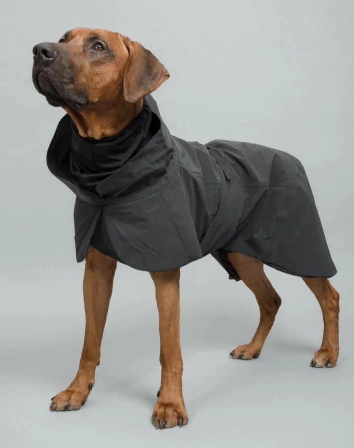 PAIKKA | Visibility Raincoat Dark Hundebekleidung PAIKKA 