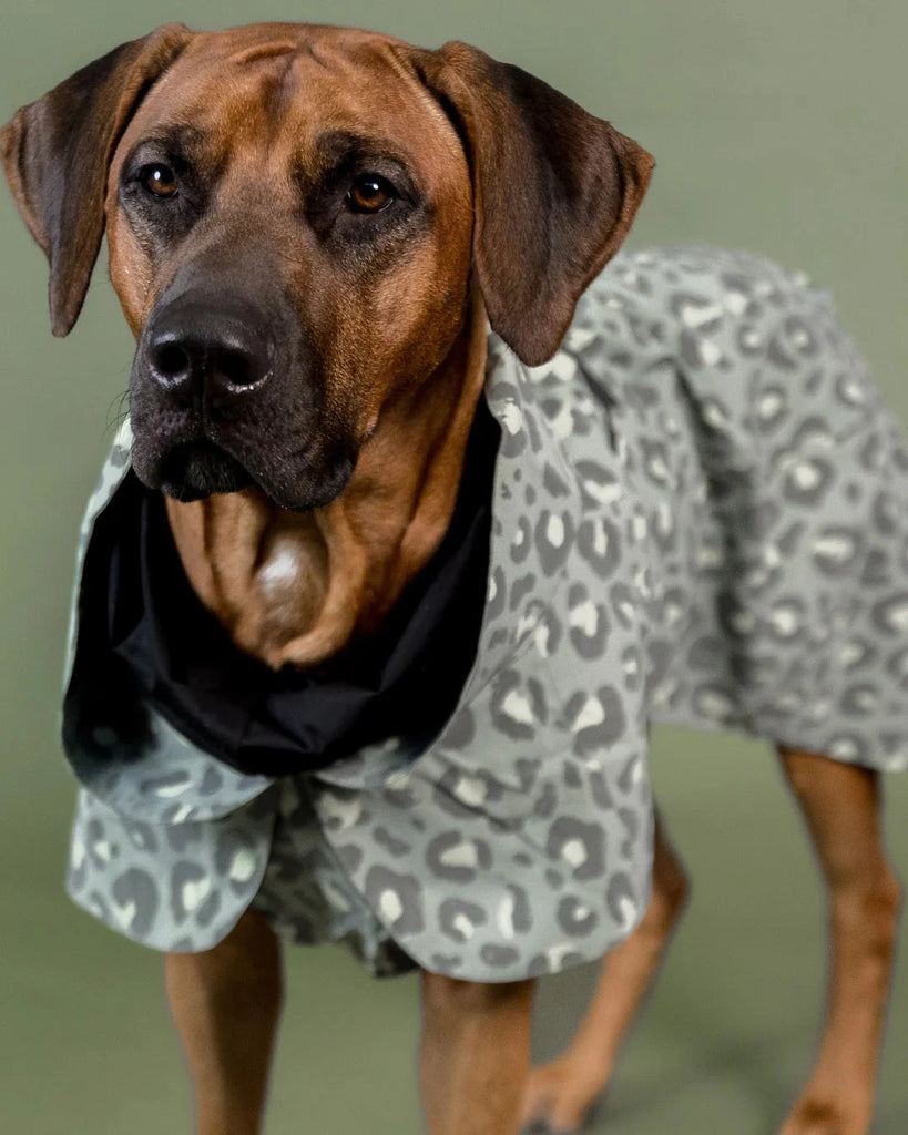 PAIKKA | Visibility Raincoat Lite Leo Hundebekleidung PAIKKA 