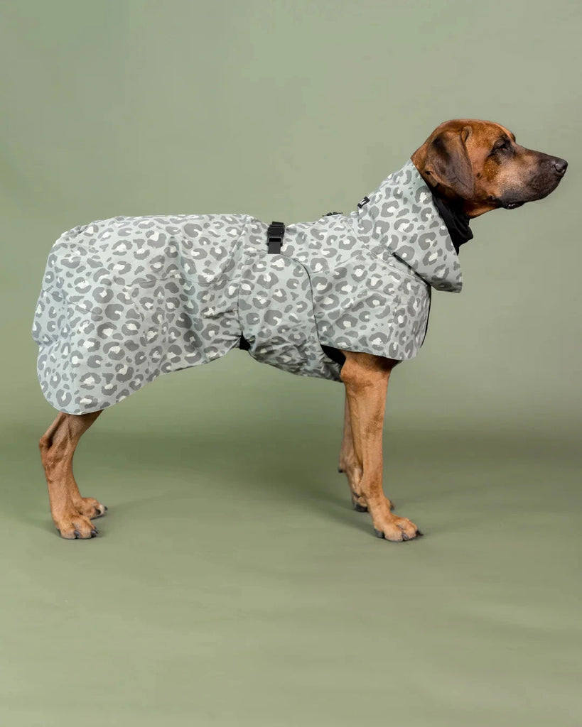 PAIKKA | Visibility Raincoat Lite Leo Hundebekleidung PAIKKA 