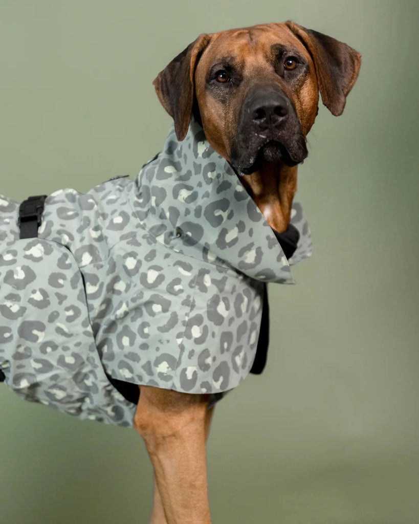 PAIKKA | Visibility Raincoat Lite Leo Hundebekleidung PAIKKA 