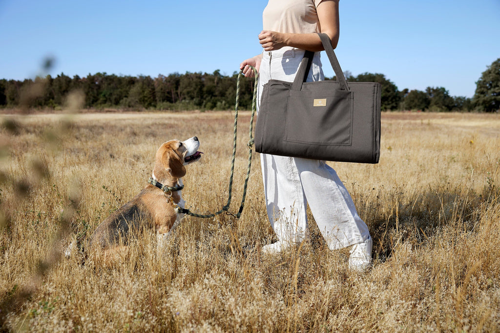 PALOPA | Reisedecke - Nobo Hundebett PALOPA 