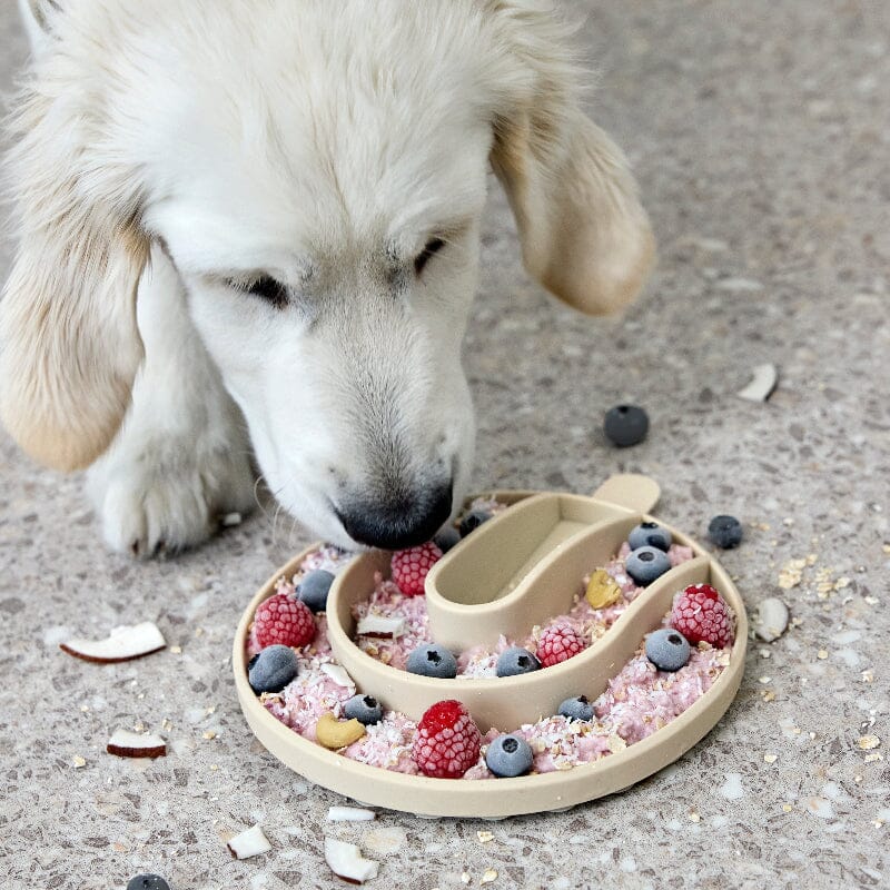 Palopa | Slow-Feed Insert Yumo Napf PALOPA 