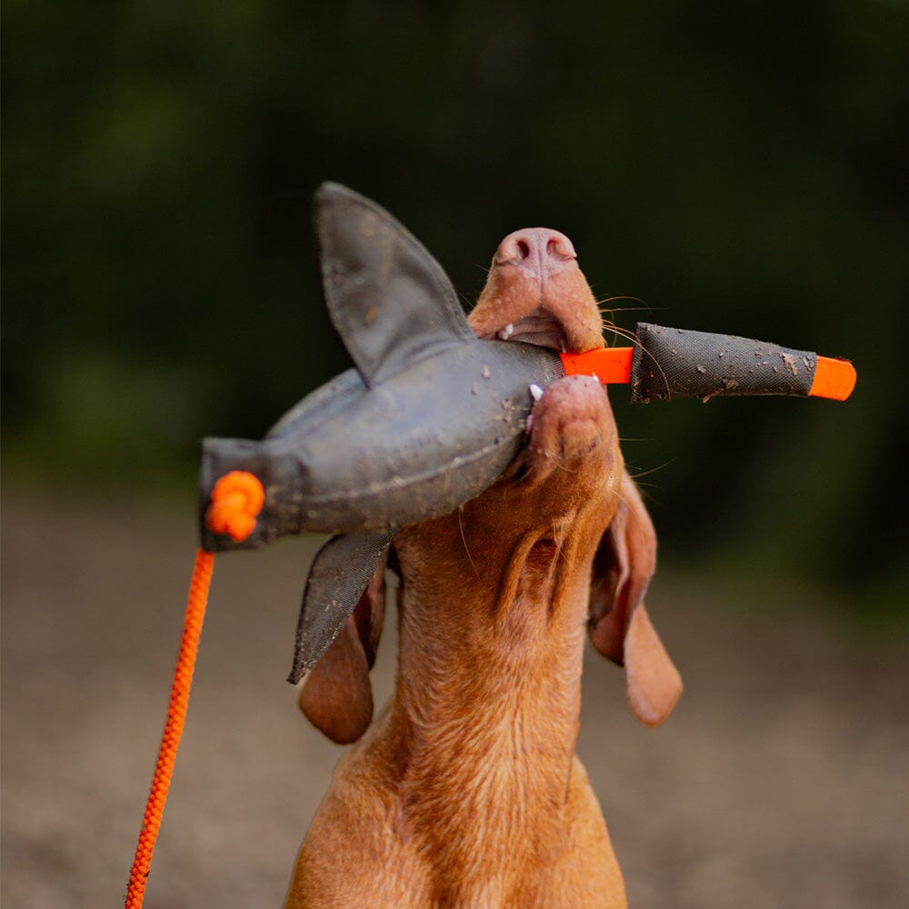 Romneys | Duck Dummy Entendummy | 400g Training Romneys 