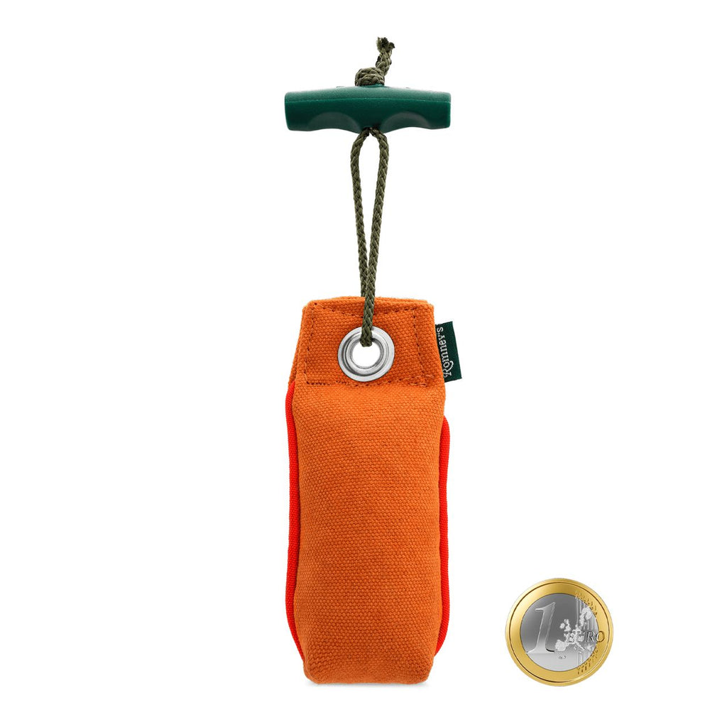 Romneys | Suchen Dummy mit Wurfgriff | 100g Training Romneys 