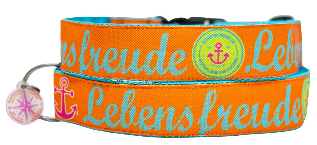 SALTYDOG | Halsband Lebensfreude | Orange Halsband Dogs Inn SK | 20-35 x 2cm 