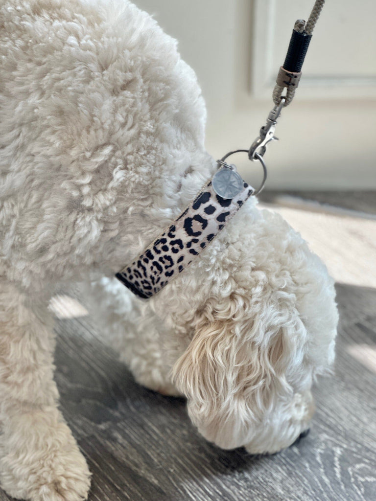 SALTYDOG | Halsband Leopard | PURE Halsband Dogs Inn 