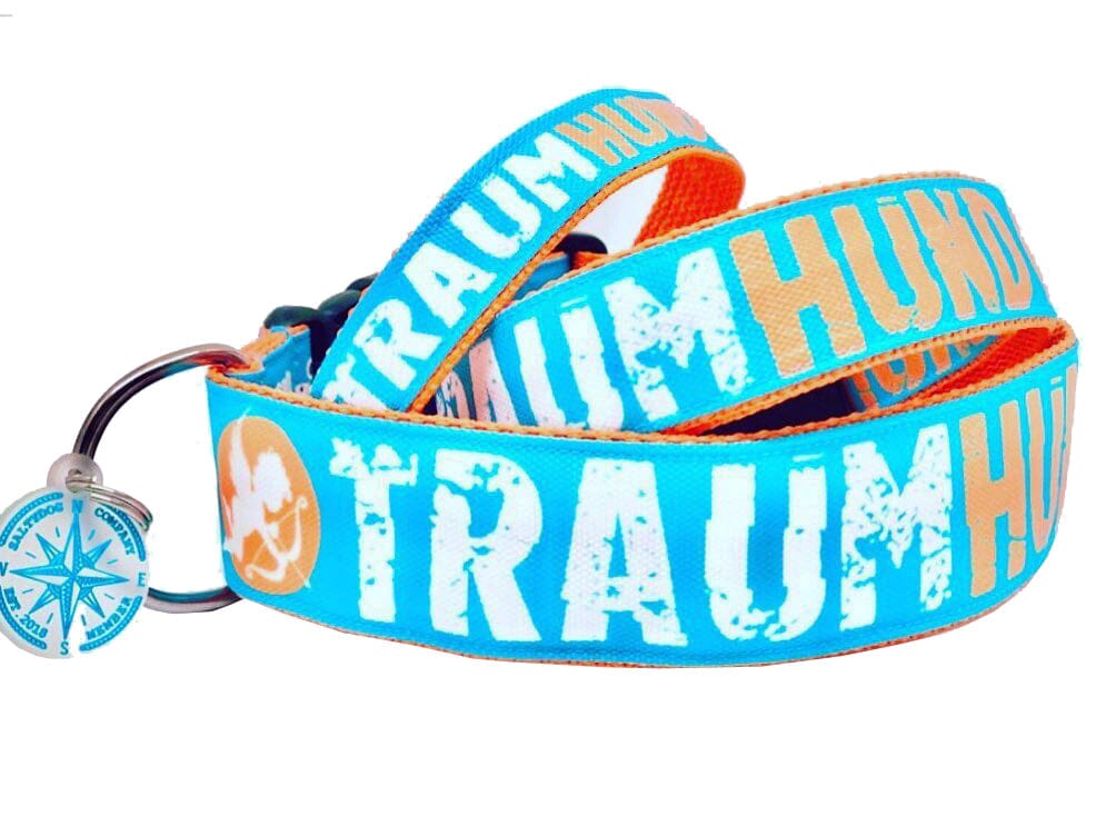 SALTYDOG | Halsband Traumhund | Türkis Halsband Dogs Inn SK | 20-35 x 2cm 