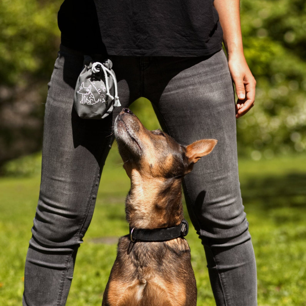 The Sustainable People | Futterbeutel Hundebedarf The Sustainable People 