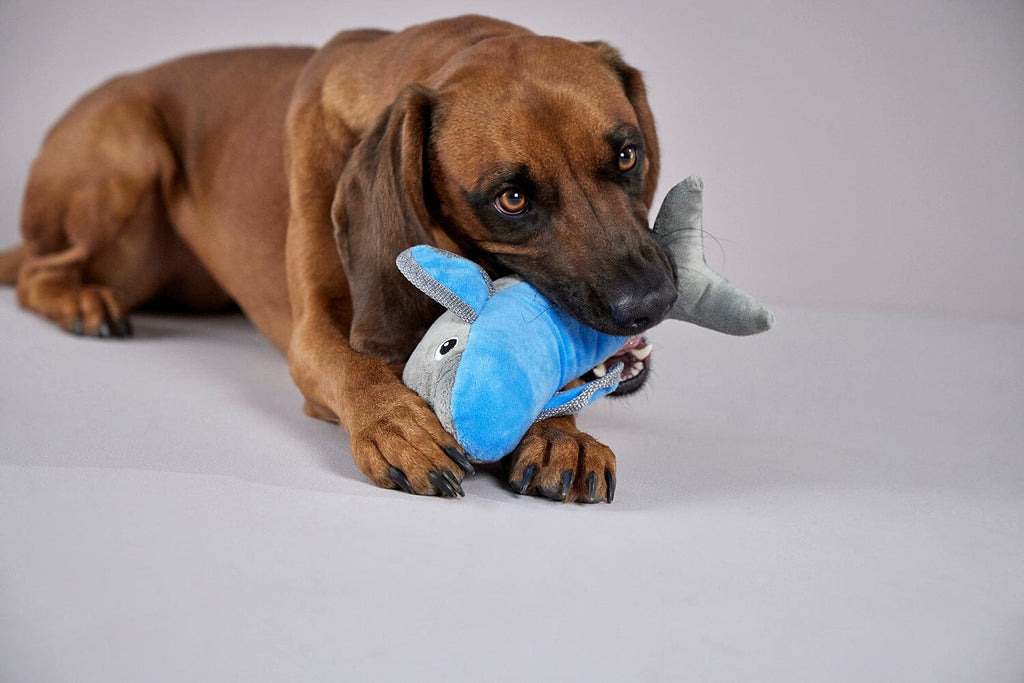 WOLTERS | Ocean Range Hundespielzeug WOLTERS cat & dog GmbH 