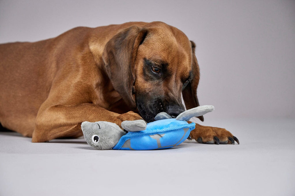 WOLTERS | Ocean Range Hundespielzeug WOLTERS cat & dog GmbH 