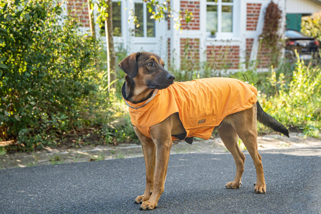 WOLTERS | Outdoor Jacke Modern Classic Hundebekleidung WOLTERS cat & dog GmbH 