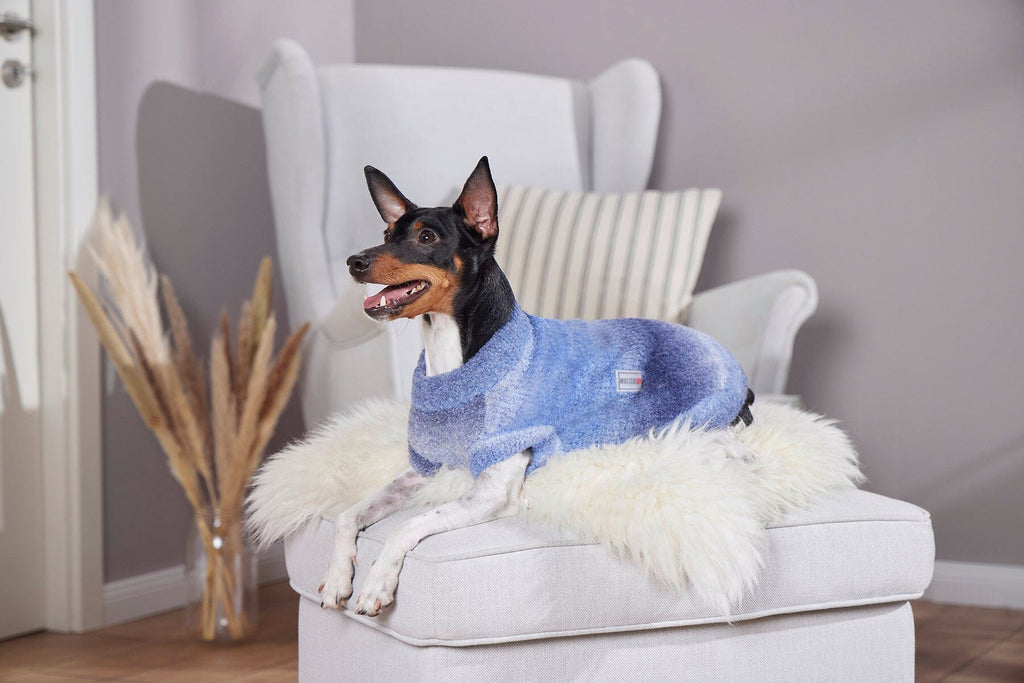 WOLTERS | Strickpullover Hundebekleidung WOLTERS cat & dog GmbH 