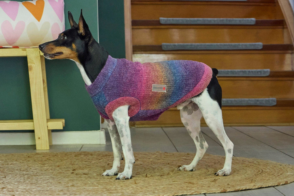 WOLTERS | Strickpullover Hundebekleidung WOLTERS cat & dog GmbH 