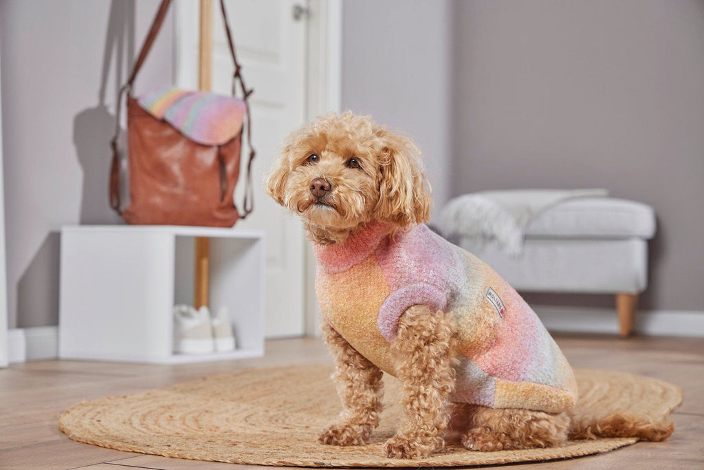 WOLTERS | Strickpullover Hundebekleidung WOLTERS cat & dog GmbH 
