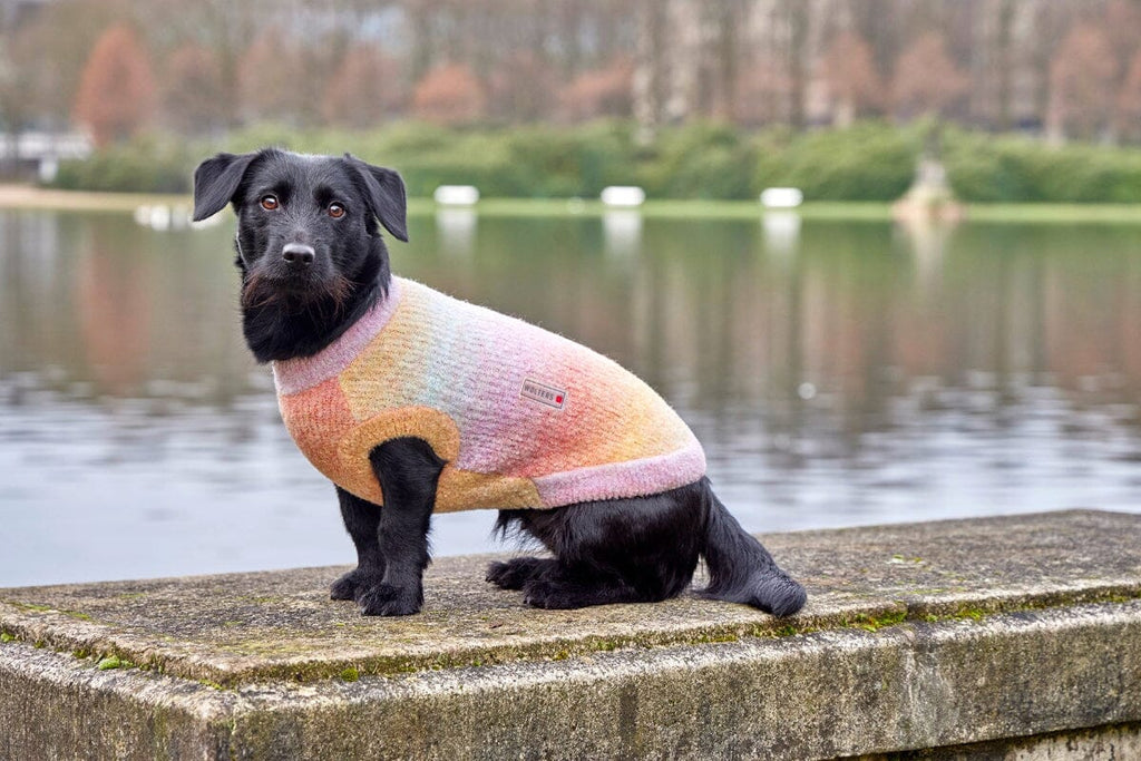 WOLTERS | Strickpullover Sunset oversized Hundebekleidung WOLTERS cat & dog GmbH Sunset | oversized 30 cm 