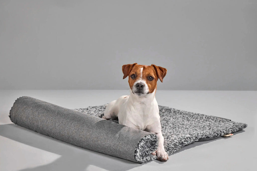 WOLTERS | Sweet Dreams Reisedecke Hundebett WOLTERS cat & dog GmbH 