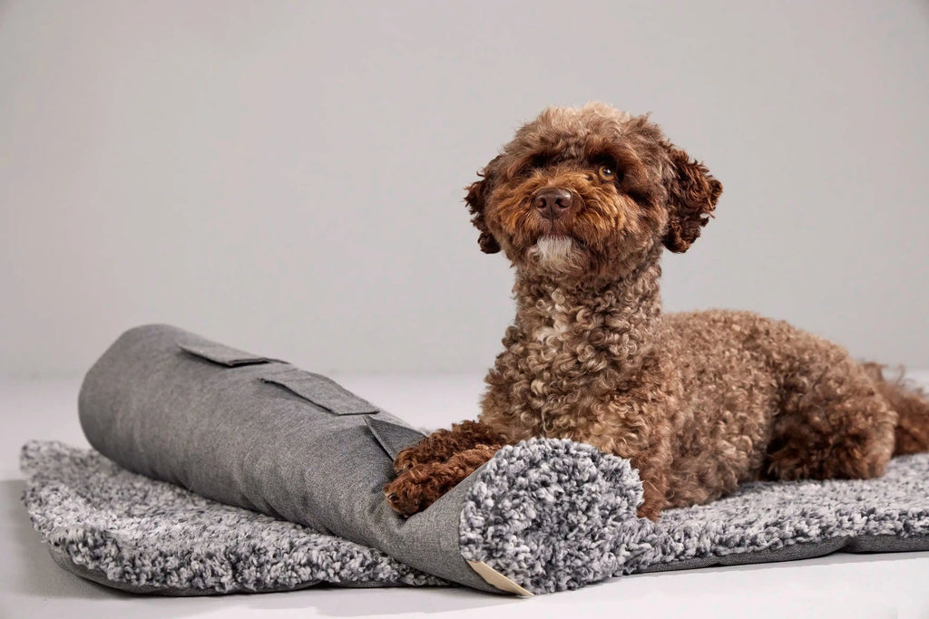 WOLTERS | Sweet Dreams Reisedecke Hundebett WOLTERS cat & dog GmbH 75 x 70 cm 