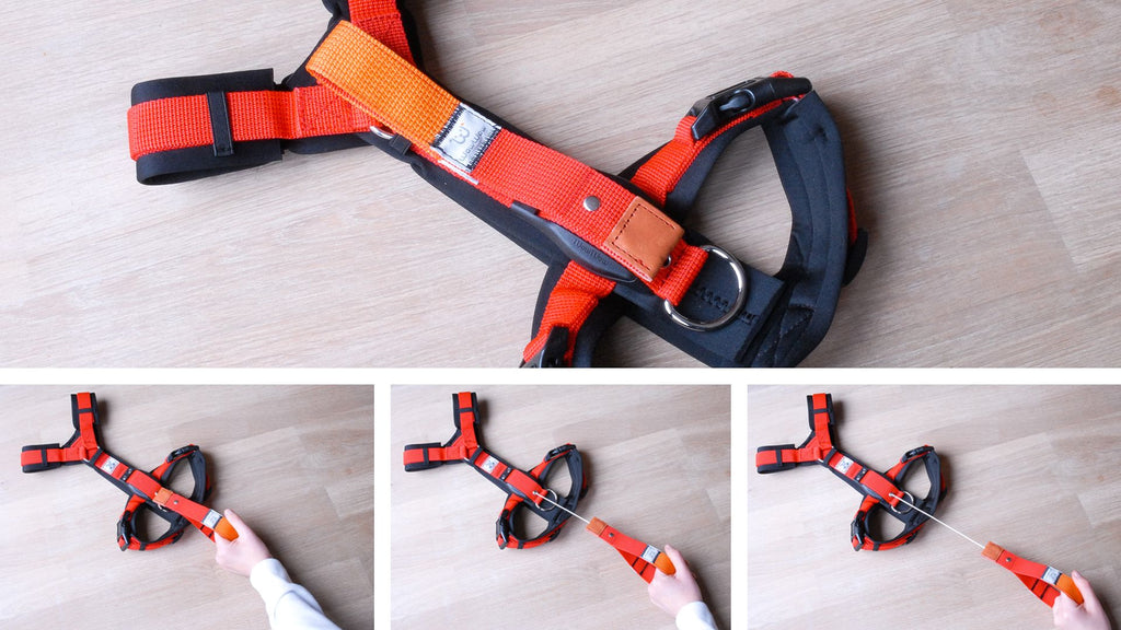 WowWow | Halsband & Geschirr mit integrierter Leine Halsband & Leine WowWow 